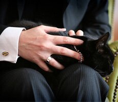 Приятные мелочи - такси в деталях